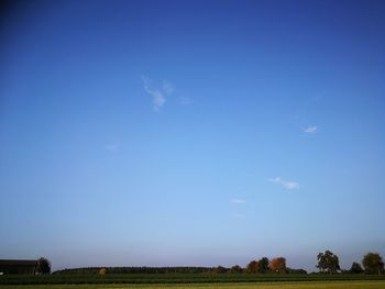 Scenic view of field against blue sky