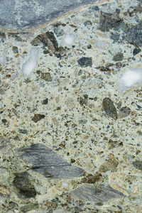 High angle view of starfish on beach