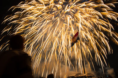 Firework display at night