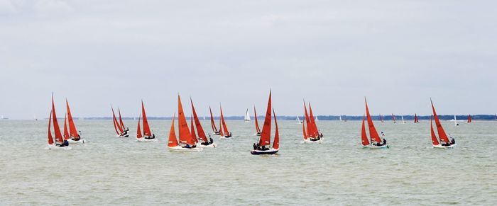 Red sails racing at cowes week