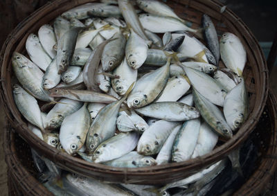 Close-up of fish for sale in market