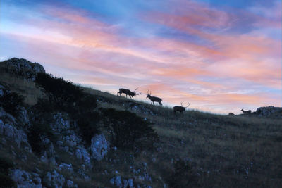 Scenic view of landscape against sky during sunset