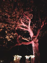 Close-up of illuminated tree against sky at night