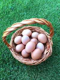 High angle view of eggs in basket on field