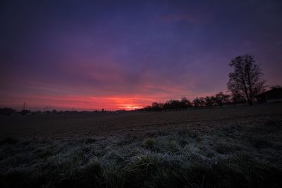 Scenic view of field against sky during sunset