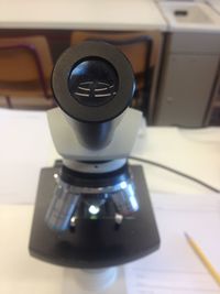 Close-up of object on table