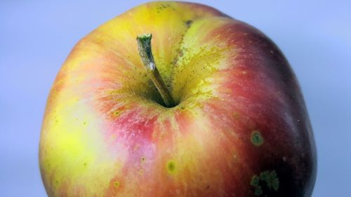 Close-up of apple against white background