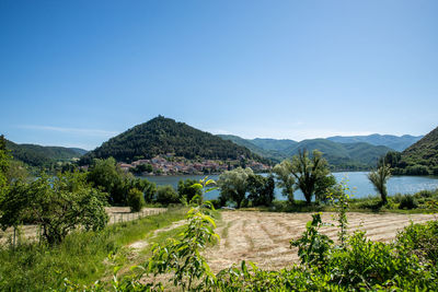 Scenic view of field against clear sky