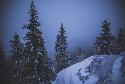 Scenic view of snow covered landscape