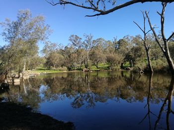 Reflection of trees in lake against sky