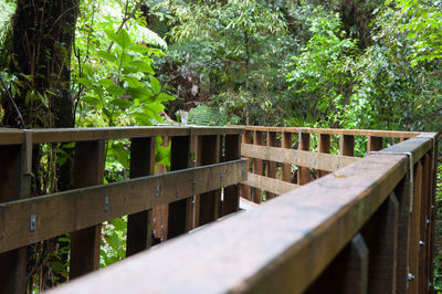 Footbridge over trees