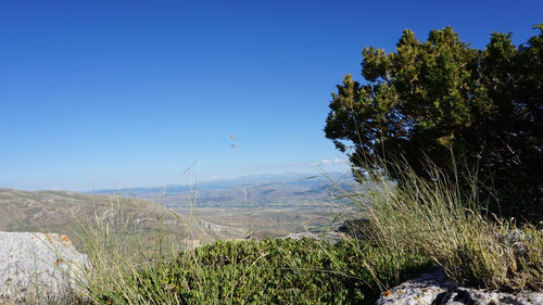 Scenic view of landscape against clear blue sky