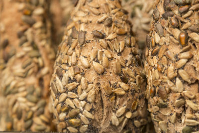 Detail of artisan gluten free seed bread