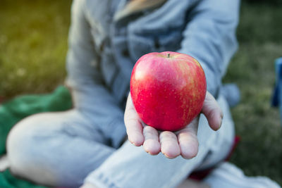 Midsection of man holding apple