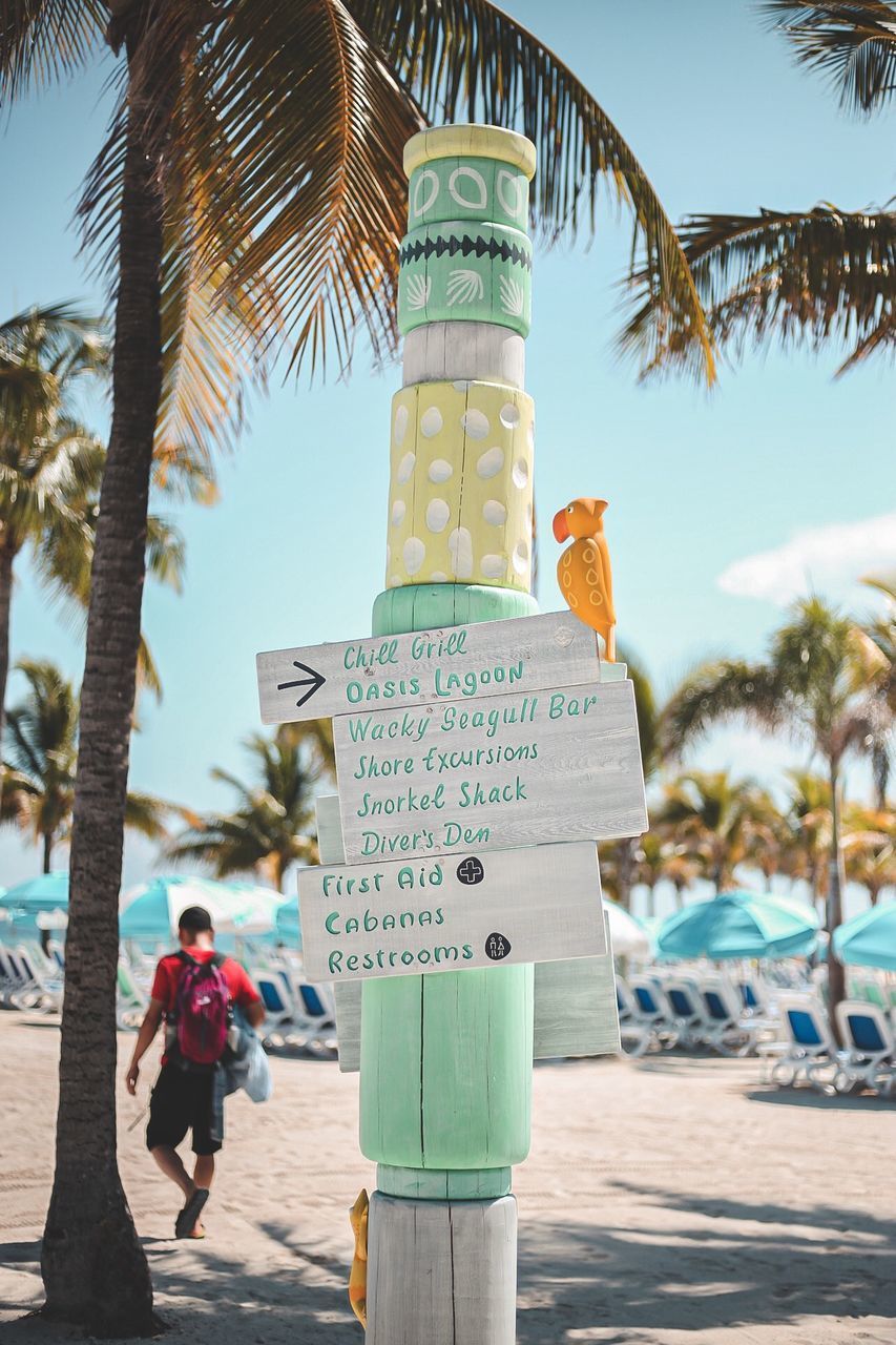 ROAD SIGN BY PALM TREES AND PLANTS