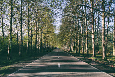 Empty road along trees in forest