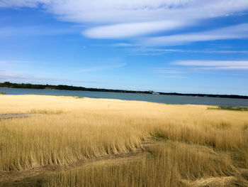 Scenic view of field against sky