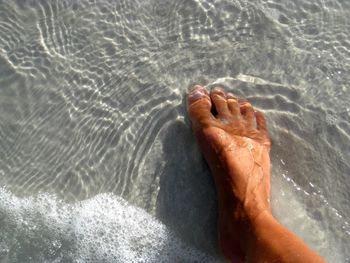 Low section of person legs in swimming pool