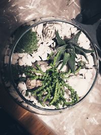 High angle view of food on table