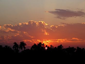 Silhouette trees against sky during sunset