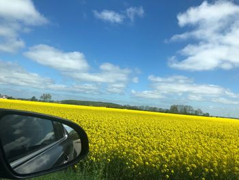 Scenic view of field against cloudy sky