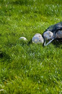 High angle view of ball on field