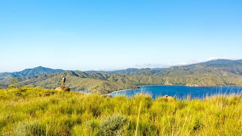 Side view of man standing on mountain against clear blue sky