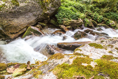 Stream flowing through rocks in forest