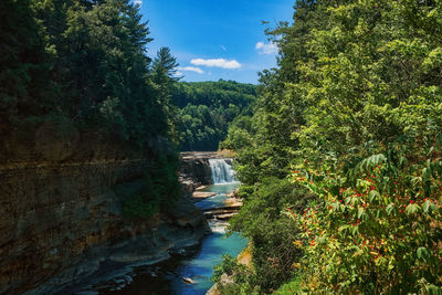 River amidst trees in forest against sky