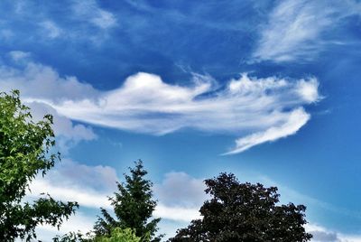 Low angle view of trees against blue sky