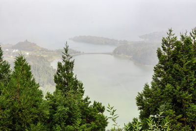 Scenic view of forest against sky