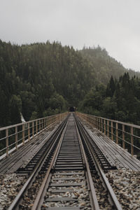 Railroad tracks in forest against sky