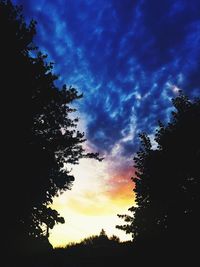 Silhouette of trees against cloudy sky