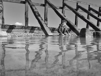 Reflection of trees in water