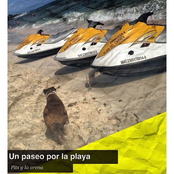 transportation, yellow, text, western script, mode of transport, communication, high angle view, nautical vessel, warning sign, boat, beach, nature, outdoors, sea, sign, day, no people, sand, travel, information sign