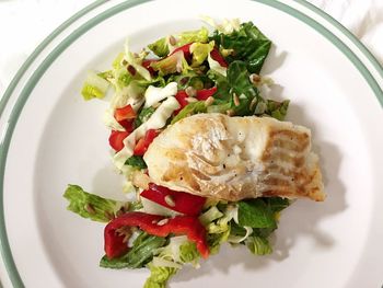 Close-up of salad in plate