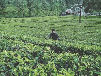 Man working in field