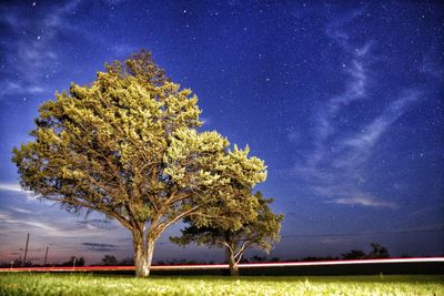 Scenic view of field against star field at night