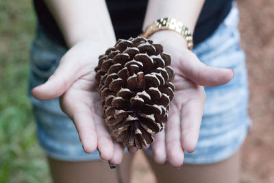 Midsection of woman holding pine cone