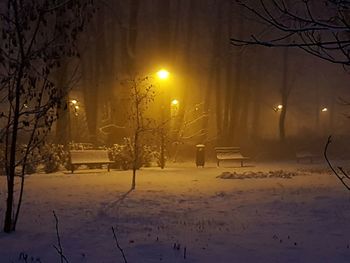 Snow covered trees against sky during sunset