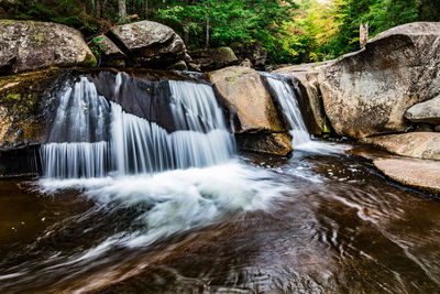 View of waterfall in forest