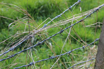 Close-up of barbed wire fence on field