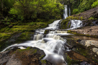 Scenic view of waterfall in forest