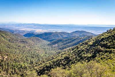 Scenic view of landscape against clear sky