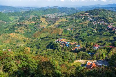 High angle view of trees and buildings