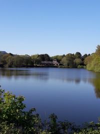 Scenic view of lake against clear blue sky