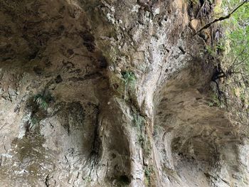 Close-up of rock formation in water