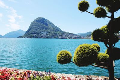 Lake and mountain