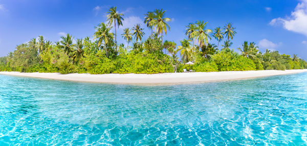 Amazing tropical island beach panorama, palm trees and sea lagoon 