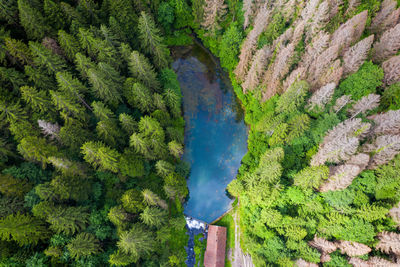 A lake with a waterfall and an old sawmill and watermill, cogrljevo jezero, croatia